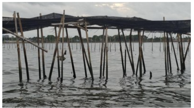 
					Alasan Nusron Cabut SHGB Pagar Laut Tangerang