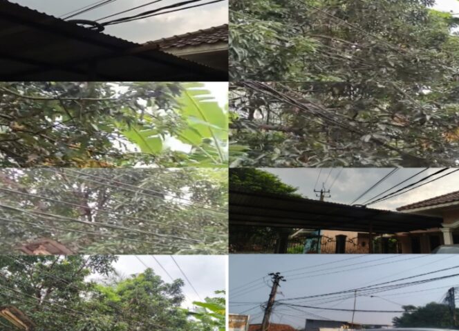 
					Foto kondisi rumah yang sudah tertempel kabel 3 jelas itu kabel listrik milik PLN, resiko besar sedang mengelilingi rumah tersebut. (Foto: Mantv7.id)