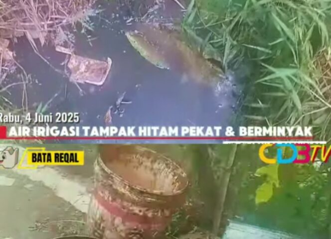 
					SS gambar di video kanal youtube CDB.TV, limbah minyak dari pabrik mengalir ke saluran irigasi warga. Air yang dulunya menjadi urat nadi pertanian, kini berubah jadi racun. Hitam, berminyak, dan menyengat. (Foto: IST. Mantv7.id)