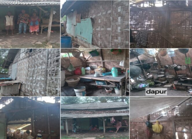 
					Kolase foto Di kampung RT 10/03 Desa Kemuning, Kecamatan Kresek, hidup dua orang tua yang nyaris terlupakan negara. Bapak Saram dan Ibu Sumawi tinggal di rumah tua yang lebih layak disebut gubuk. (Foto Mantv7.id)