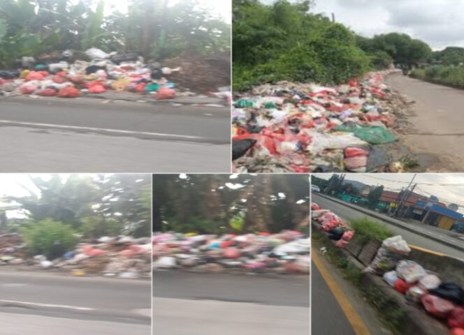 
					Kolase foto titik-titik sampah menumpuk di Jalan Raya Serang-Balaraja. (Foto: IST. Mantv7.id)
